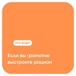 — Маш, ну нафига еще один курс про питание?
— Да потому что куда ни ткнись, это будет завязано на рационе image preview