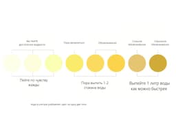 Цветовой чарт для определения уровня своей гидратации image preview