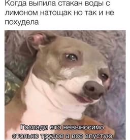 🐶Когда не туда старалась:) image preview