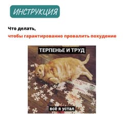 🏋🏻Что делать, чтобы провалить своё похудение: пошаговая инструкция image preview