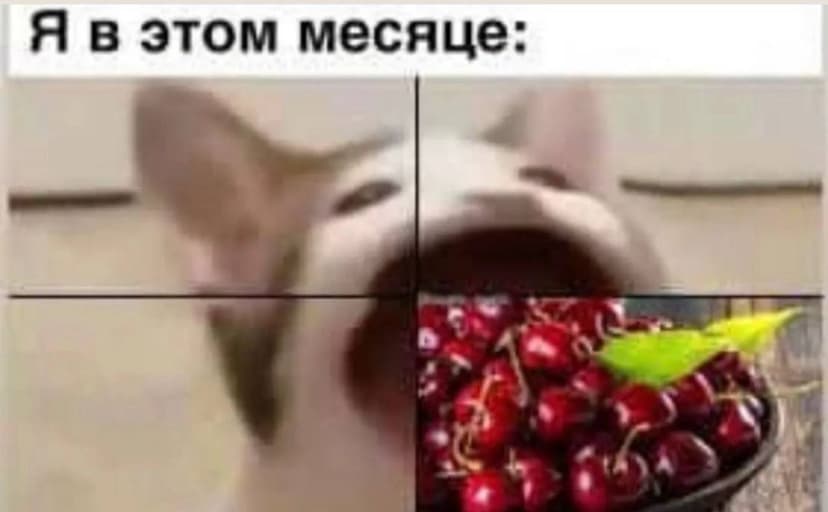 Фотография поста