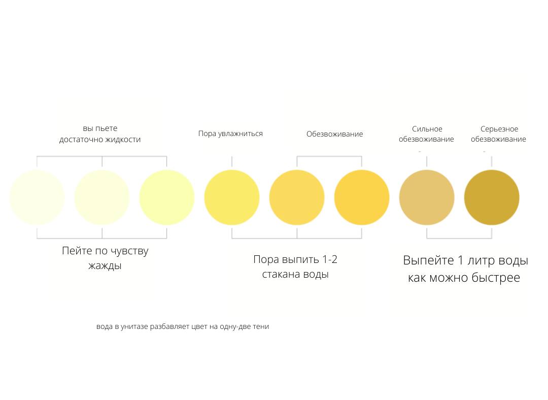 Цветовой чарт гидратации image preview