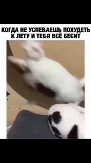 Если не получилось традиционное похудение image preview