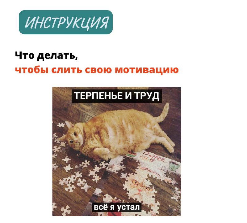 Как быстро похудеть и не потерять мотивацию image preview