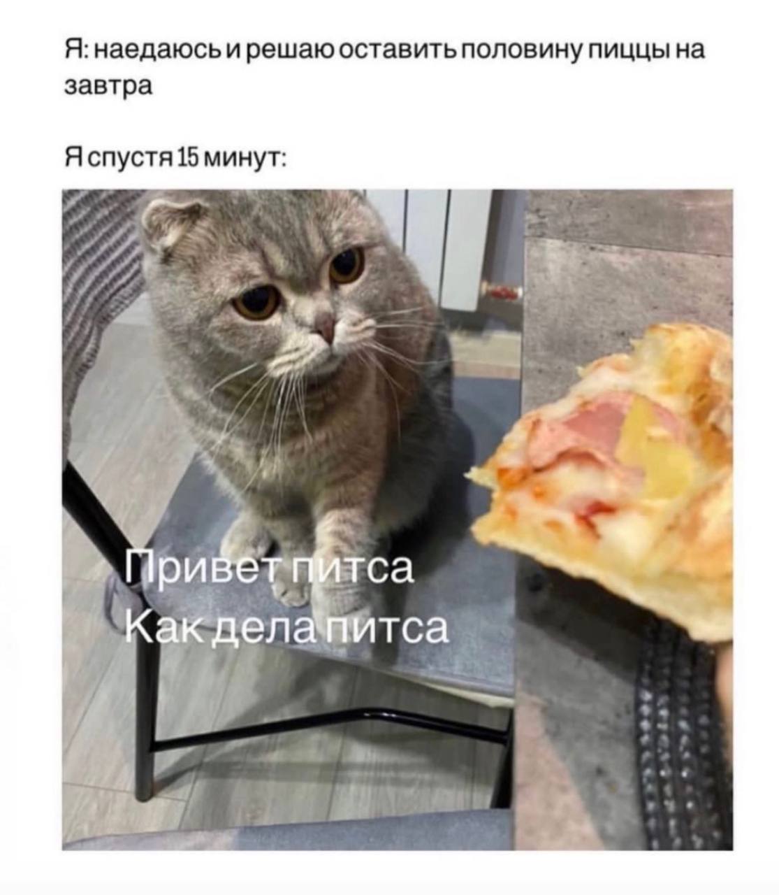 Как есть вредное и не навредить здоровью image preview