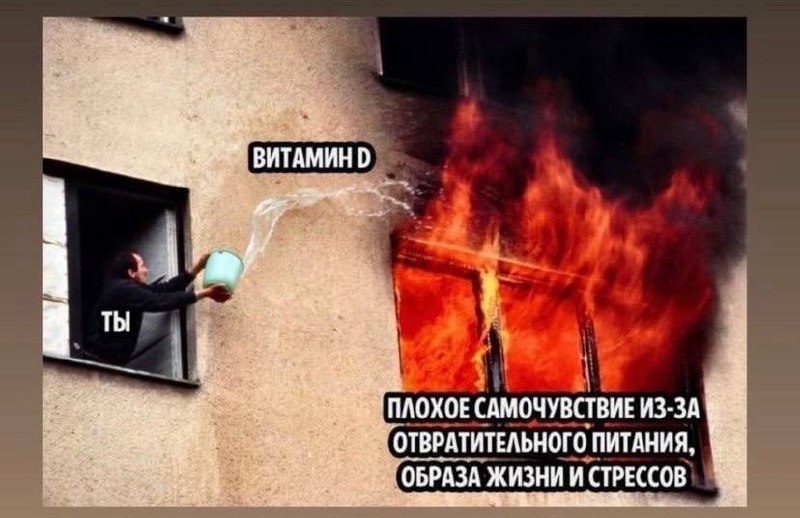 Когнитивные искажения в питании: почему люди игнорируют основы image preview