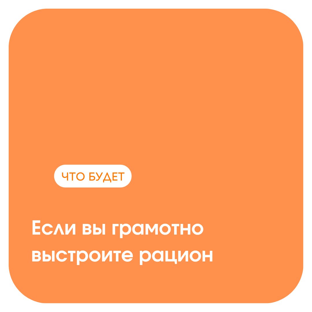 Курс «Еда без стыда»: похудеть без отказов image preview