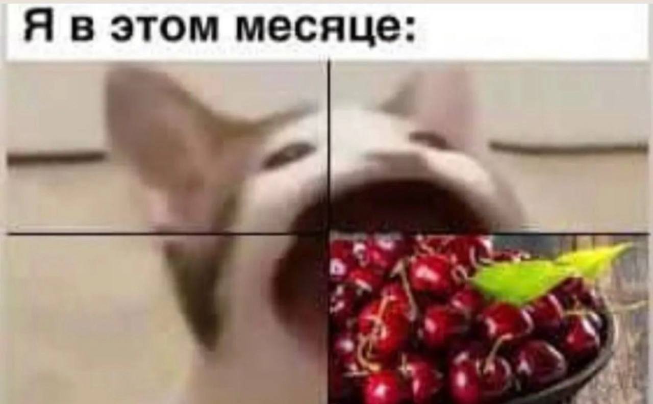 Фотография поста